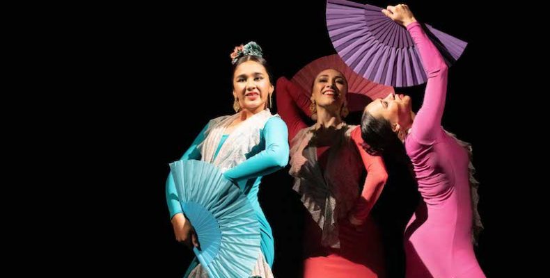 Book a show Flamenco show Sydney